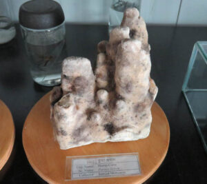 Butterfly_Moths_collection111